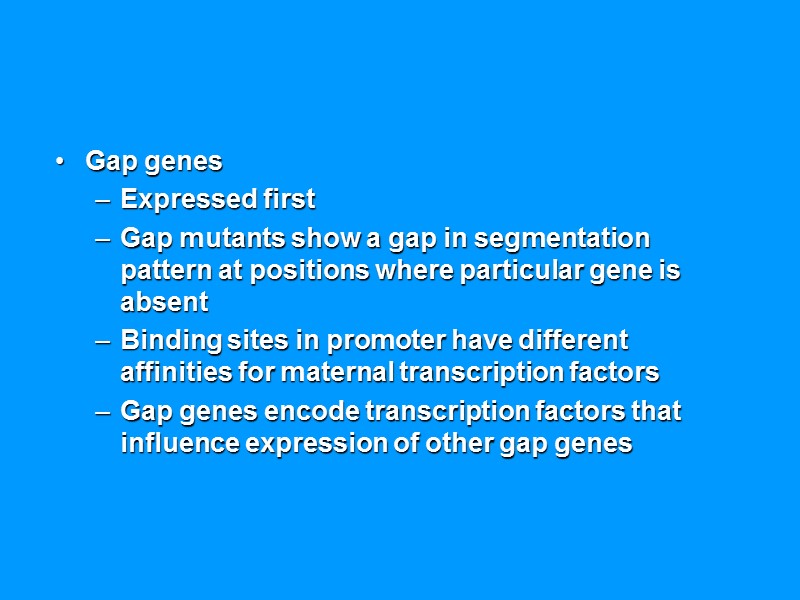 Gap genes Expressed first Gap mutants show a gap in segmentation pattern at positions Gap genes Expressed first Gap mutants show a gap in segmentation pattern at positions